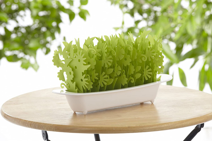 癒される加湿器